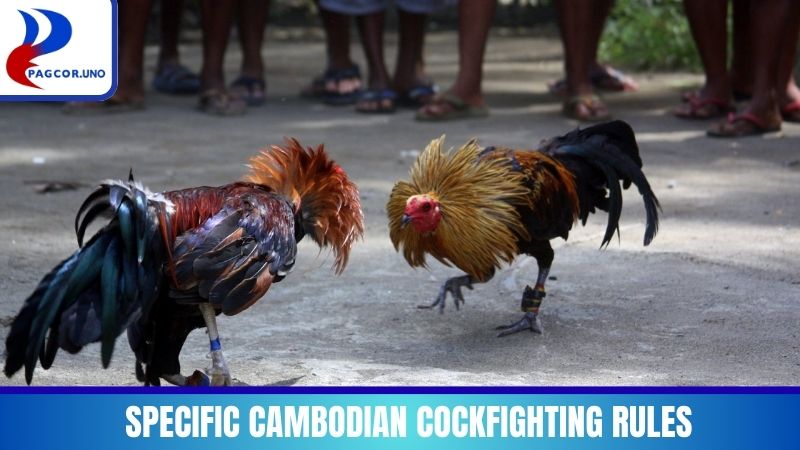 Specific Cambodian Cockfighting Rules