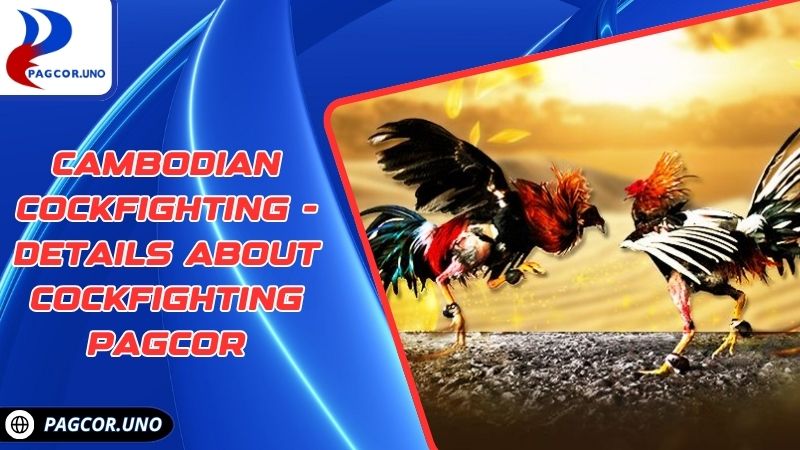 Cambodian Cockfighting