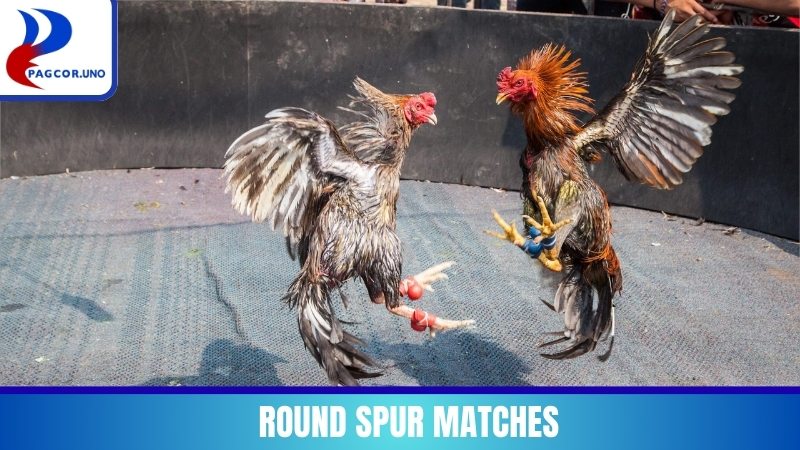 Round spur matches