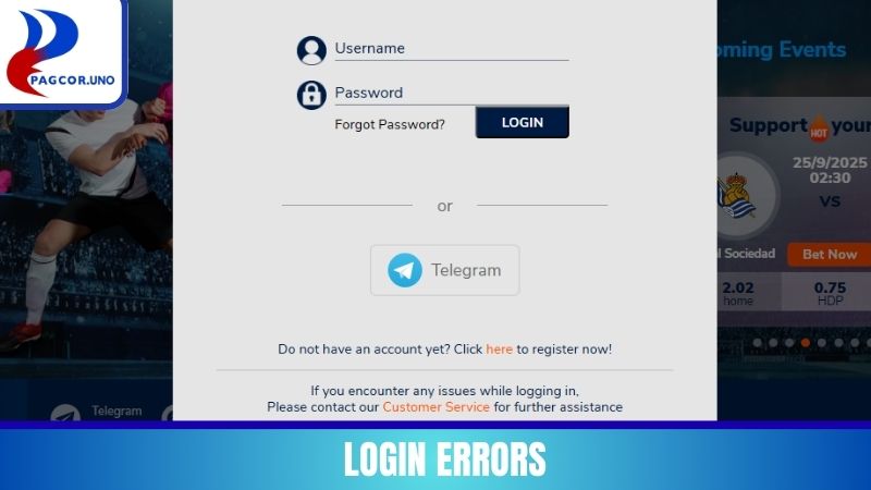 Login errors