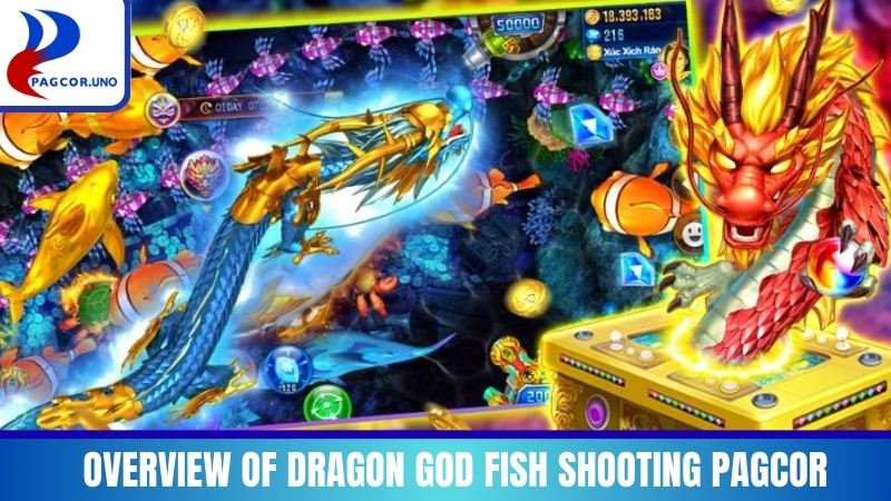 Overview of Dragon God Fish Shooting PAGCOR