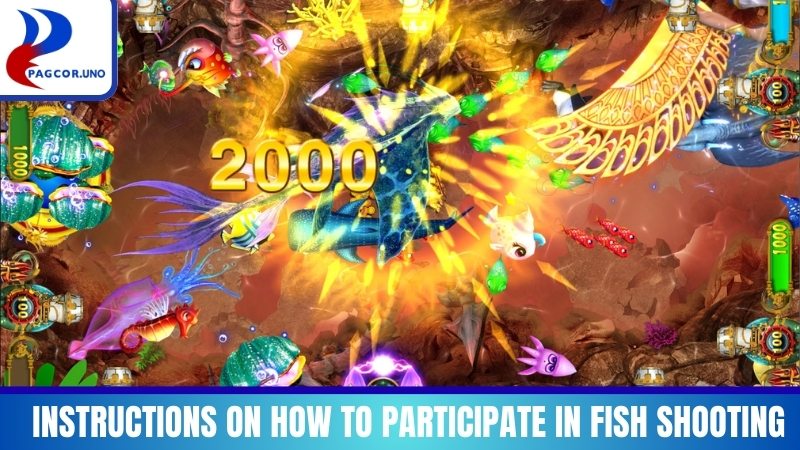 Instructions on how to participate in fish shooting