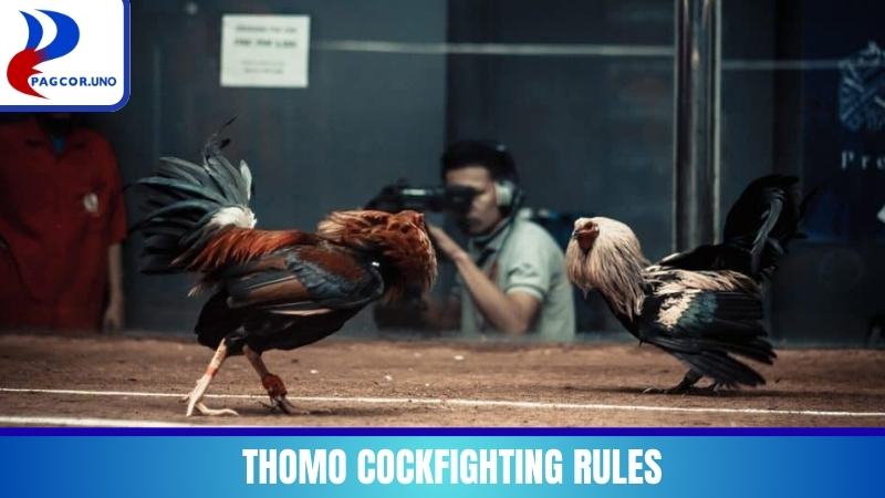 Thomo Cockfighting Rules