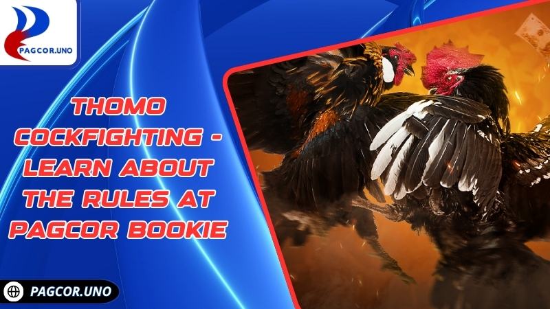 Thomo Cockfighting